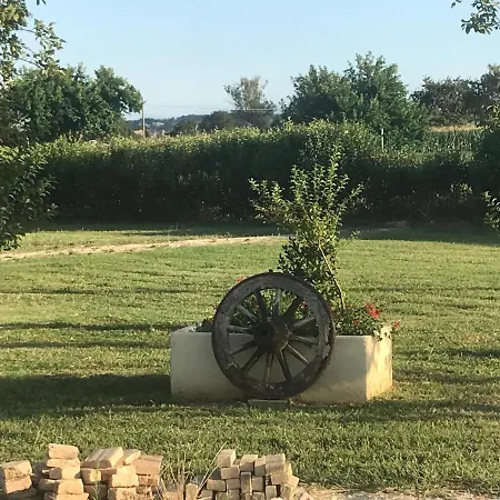 Il Melograno