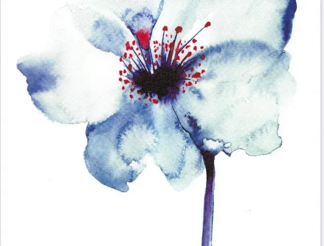 Bed & Breakfast Il Melograno Fano